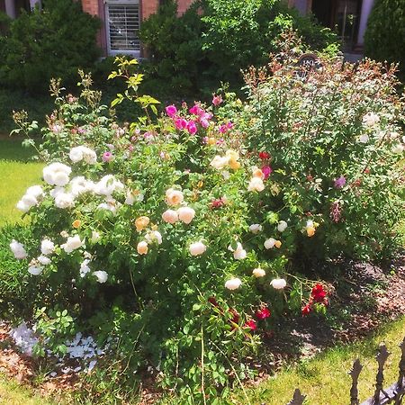 Historic Ellerbeck Mansion Bed & Breakfast Salt Lake City Eksteriør billede