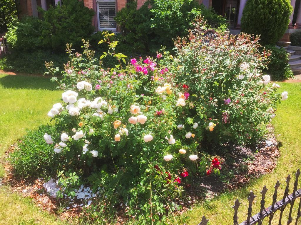 Historic Ellerbeck Mansion Bed & Breakfast Salt Lake City Eksteriør billede
